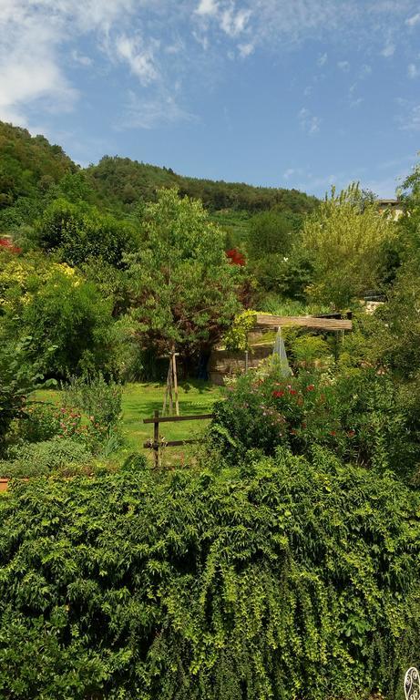 B&B Casa Brunelli Trento Exterior foto